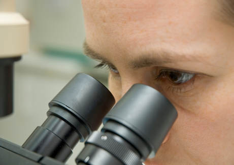 h-microscope.jpg h-microscope.jpg