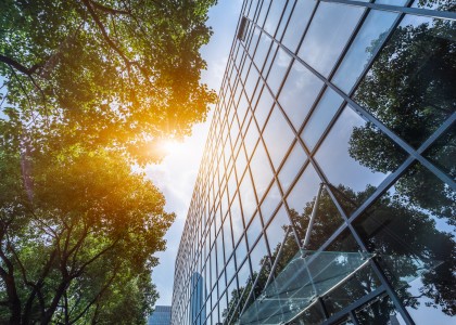 An office building with a tree next to it