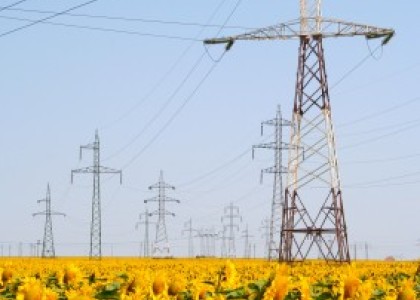 Utility_poles_with_flowers.jpg