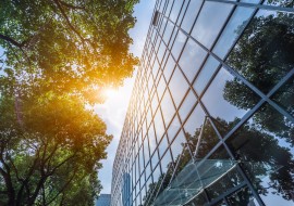 An office building with a tree next to it