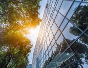 An office building with a tree next to it