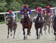 horserace