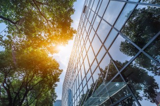 An office building with a tree next to it