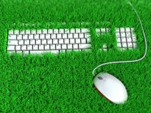 Keyboard and Mouse in Grass