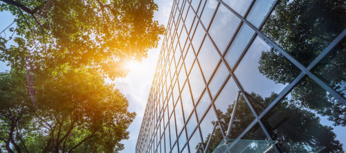 Sun shining on a tree outside of a glass building, net zero building concept