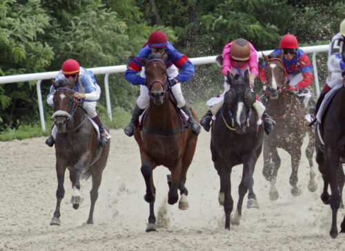 horserace