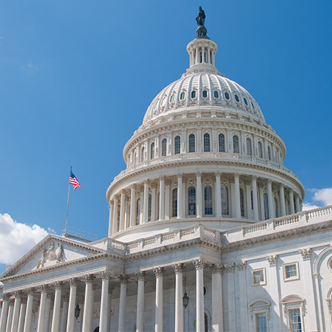 The Capitol Building of the United States of America.