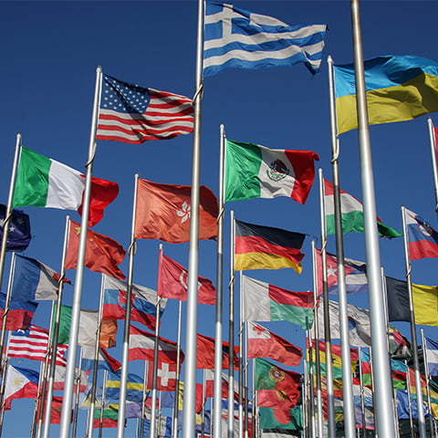 Flags of many different countries against the background of a blue sky